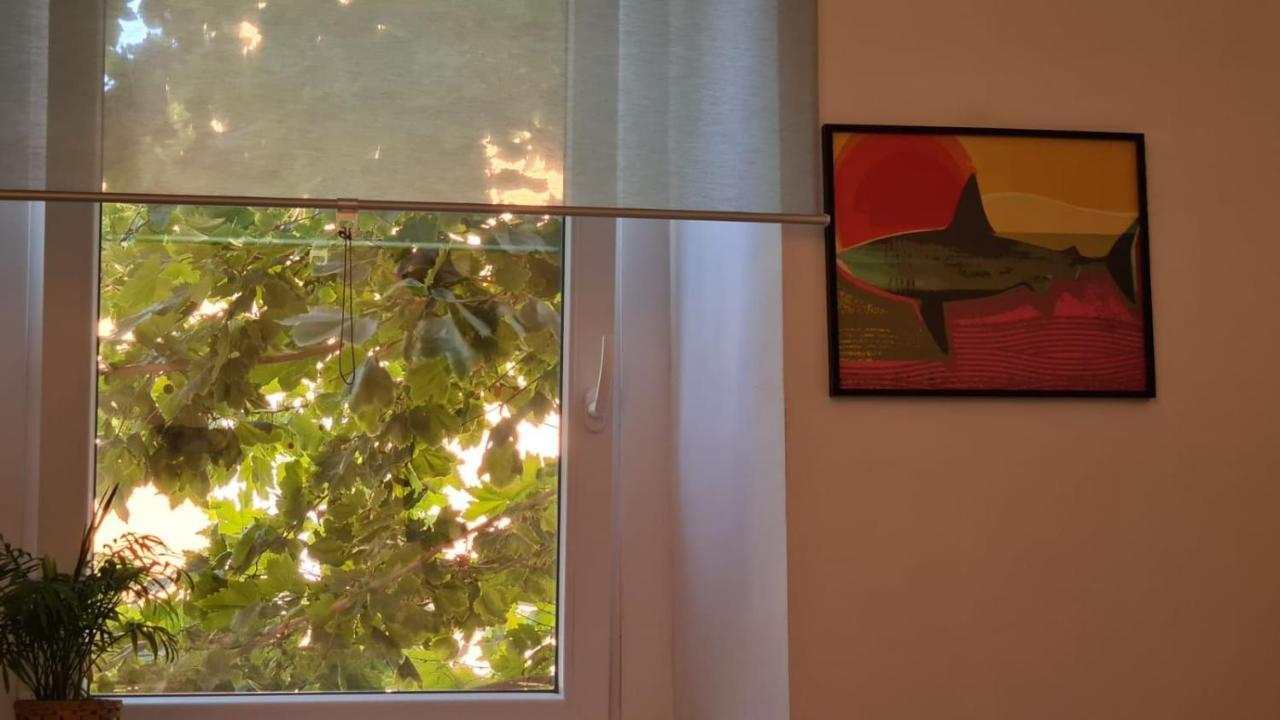 Ladispoli Apartment エクステリア 写真